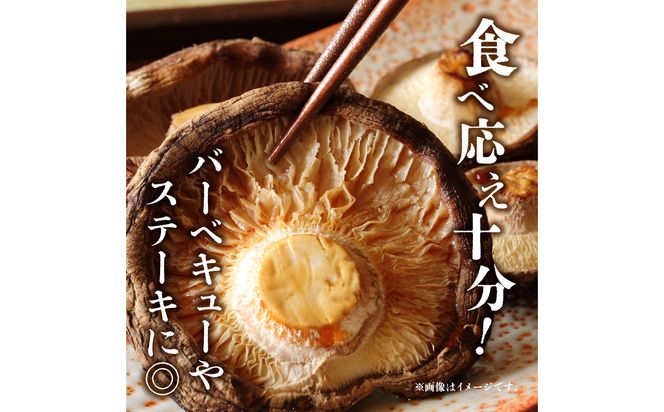 【F07020】大分県産椎茸　香菇　逸品　IP-B