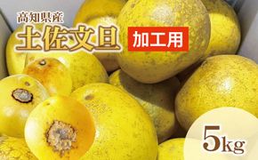 【訳あり】土佐文旦（ぶんたん）加工用（M～５Ｌ混合）約５ｋｇ【株式会社とさもん（土佐市）厳選】 文旦 5キロ 約8～15玉