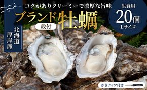 厚岸産　殻付カキLサイズ20個（生食用） 魚貝類 生牡蠣 かき 牡蠣 マルえもん メルマガ掲載商品2