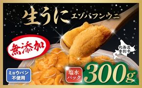 うに 無添加 極上 エゾバフンウニ 生うに 塩水パック 300g 塩水 ミョウバン不使用 | 雲丹 ウニ 雲丹 高級 生ウニ 海産物 海鮮 米 と ウニ丼 うに丼 人気 ふるさと納税 北海道 登別市
