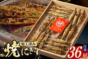 【にぎす 焼にぎす36尾 冷蔵】香住で水揚げされたにぎすを素焼きしました。昔なつかしい 素朴な風味 手焼き丁寧に焼いています キス きす 新鮮 香住産 国産 兵庫県 香美町 香住 10000 10000円 一万円 以下 浜貞商店 29-01