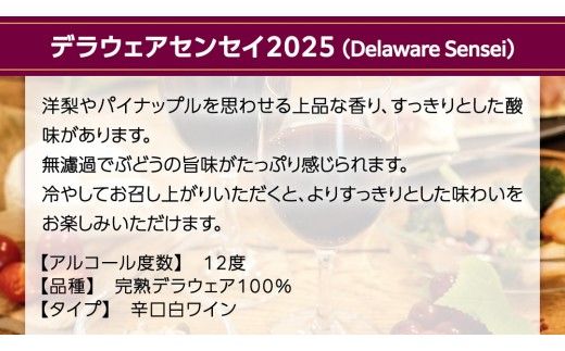 デラウェアセンセイ Delaware Sensei 2025 750ml×1本 茨城県産 牛久醸造場 日本ワイン ワイン 白ワイン 750ml ミディアムボディ お酒 贈り物 葡萄 ぶどう [BJ060us]