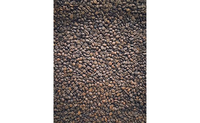 【メール便】 1袋たっぷり50gのまろやか水出し珈琲×5袋【ドリップ、アイスコーヒー】 飲料類 