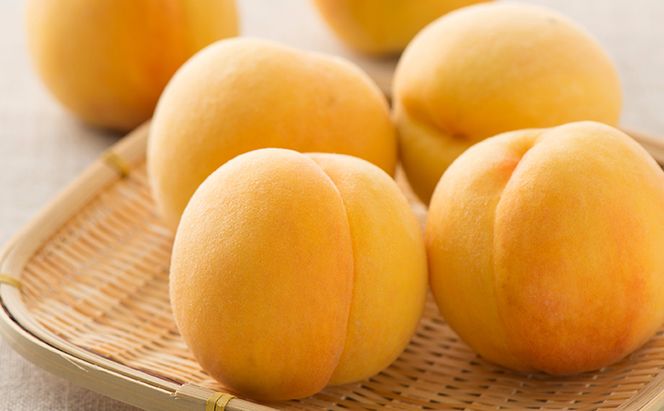 桃 2026年 先行予約 岡山 黄金桃 6玉 約1.4kg 等級：ロイヤル（1玉 240g以上） もも モモ 岡山県産 国産 フルーツ 果物 ギフト