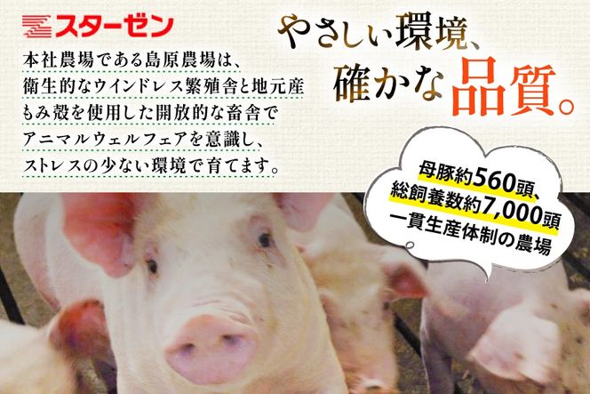 AJ666 島原育ちの豚肉セット 計4.5kg [ 豚肉 ぶた 豚ロース とんかつ用 豚バラ しゃぶしゃぶ 薄切り 豚小間 こま切れ 豚ミンチ セット 小分け バラエティ スターゼン株式会社 長崎県 島原市]