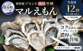 厚岸産 ブランド 殻付カキ マルえもん 生食用 サイズ食べ比べ 12個 (L・M各6個)[ 魚貝類 生牡蠣 かき 牡蠣 カキ 生ガキ 食べ比べ ]