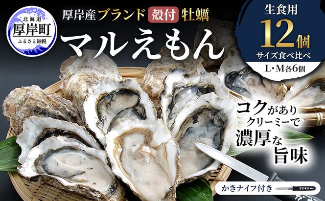 厚岸産 ブランド 殻付カキ マルえもん 生食用 サイズ食べ比べ 12個 (L・M各6個)[ 魚貝類 生牡蠣 かき 牡蠣 カキ 生ガキ 食べ比べ ]