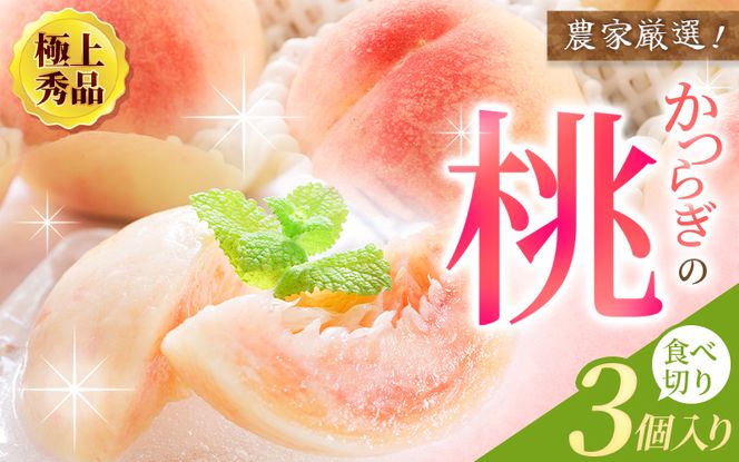 【ふるさと納税】 【先行予約】【厳選】あふれる果汁で口いっぱい！ 和歌山県産 桃 3玉【2027年6月20日頃～順次発送予定】（お届け日指定不可） / 和歌山 桃 モモ  フルーツ もも 白桃 果物 くだもの