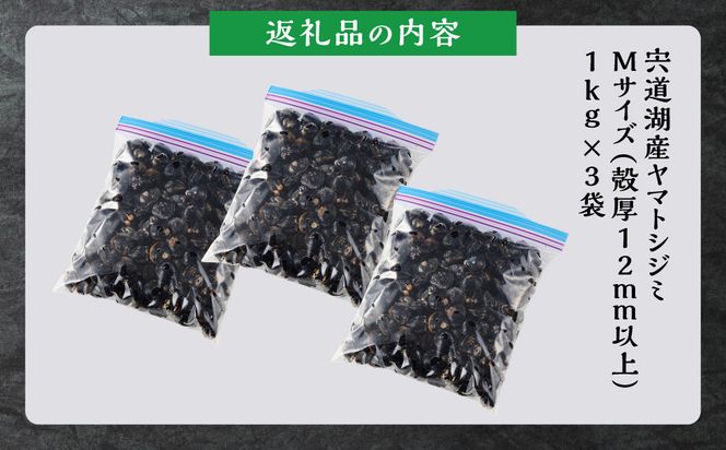 【訳あり】漁師直送！宍道湖産ヤマトシジミ・Mサイズ冷凍3.0kg 322032_EN005