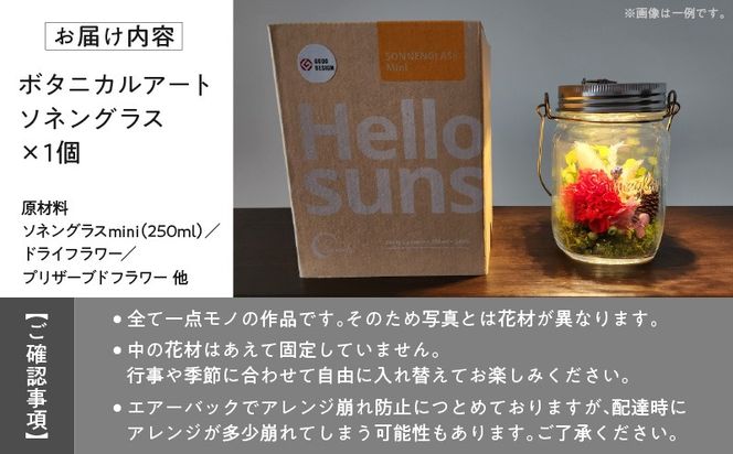 ボタニカルアート ソネングラス