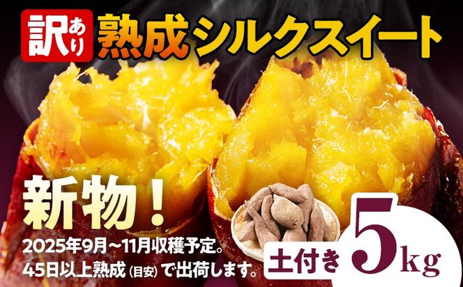 先行予約 訳あり シルクスイート 熟成 シルクスイート 5kg