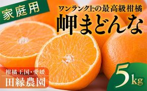 【先行予約】【家庭用】岬まどんな 5kg｜ 柑橘 みかん ミカン フルーツ 果物 愛媛　※離島への配送不可　※2024年11月下旬～12月下旬頃に順次発送予定