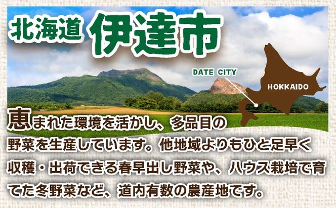 ＜先行予約＞北海道産 とうもろこし(ホイップコーン) Lサイズ 10本 【55250483】ホワイト トウモロコシ とうきび コーン スイートコーン 国産 野菜 人気 ふじいファーム