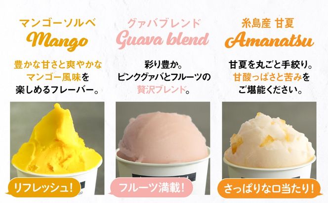 ジェラート アイス [夏季限定] 糸島で行列のできるアイスクリーム屋ジェラートカップ10個セット：ミルク＆ソルベ5種類×各2個（ミルク/塩/マンゴー/グァバ/甘夏）≪糸島≫【LoiterMarket ロイターマーケット】 [AGD003] アイス クリーム アイスクリーム