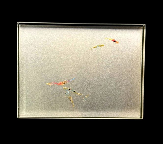 すし下駄 鯉 シャンパンゴールド ［NF289］ 303446_CU90110