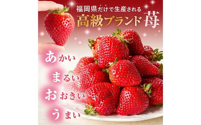 【先行予約】オーガニックあまおう「いせいちご」2パック(280g×2)【伊世いちご畑】_HA1116