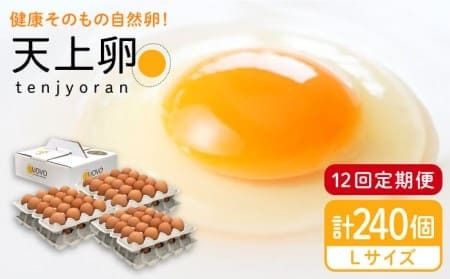 ★12回 定期便 ★ こだわり の 卵「天上卵」20個セット 《糸島》【おおはまファーム】 鶏卵 平飼い たまご 玉子 [AKH004]