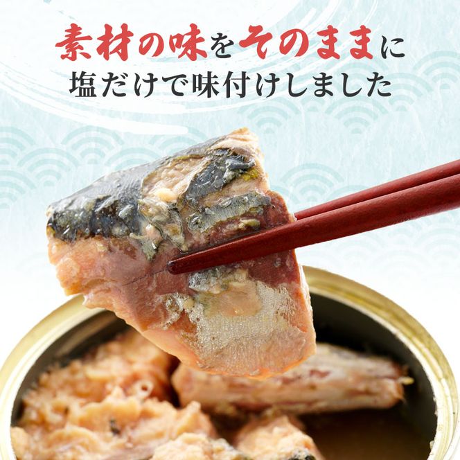 サバ缶 若狭の鯖缶 6缶 セット 水煮 鯖缶 さば サバ 鯖 缶 缶詰 魚 魚介 魚介類 海鮮 福井 若狭町 福井県若狭町 