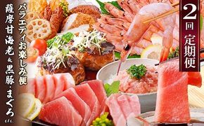 定期便2回配送　お楽しみバラエティ定期便(鹿児島県産黒豚・鮪etc) DD-6008 【1486572】