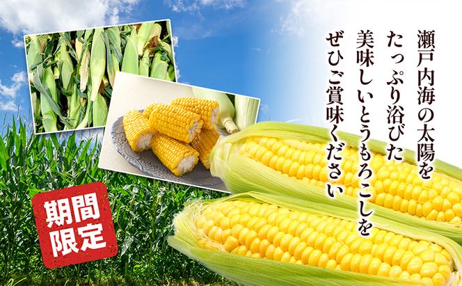 イエローコーン 約3kg 野菜 とうもろこし 野菜セット 