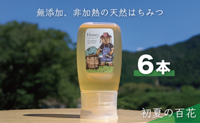 合計1800g 天然蜂蜜 国産蜂蜜 非加熱 生はちみつ 岐阜県 美濃市産 初夏 (蜂蜜300g入りピタッとボトル6本セット) B17 深田養蜂のハチミツ