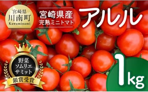 宮崎県産完熟ミニトマト「アルル」1kg 【 新鮮 アルル ミニトマト とまと 野菜 産地直送 宮崎県産川南町産 送料無料 】[D11801]