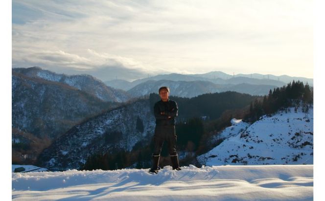 新潟米新之助（精米）2kg お米 おこめ こめ 白米 こしひかり 