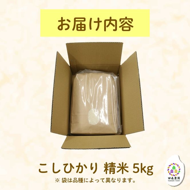 米 こしひかり 5kg 農家直送 特別栽培米 精米 コシヒカリ 令和7年度産 お米 新生活 贈り物 人気米 ご飯 白米 コメ 贈答 静岡県 藤枝市