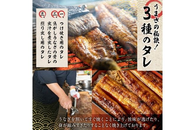 国産 うなぎ蒲焼 無頭(計2尾) ウナギ 鰻 蒲焼き うな重 ひつまぶし タレ 魚 冷凍 大分県 佐伯市【DH259】【(株)ネクサ】