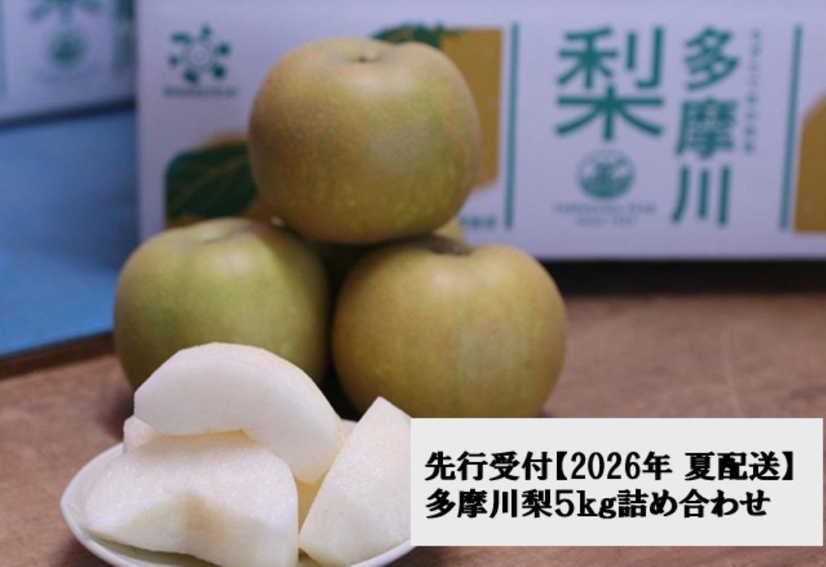 [2026年夏配送]多摩川梨 5Kg 詰め合わせ | 梨 なし 果物 フルーツ 川崎市 オリジナル 141305_BC11