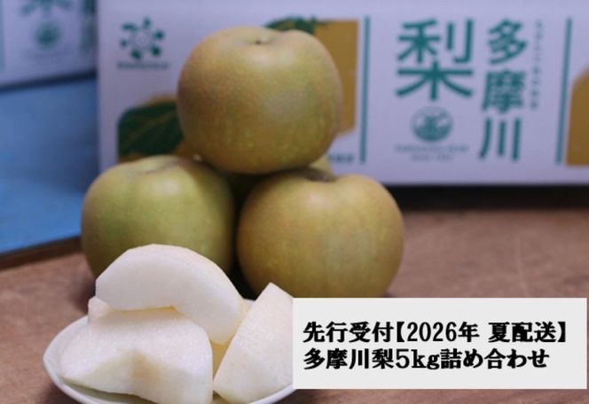 【2026年夏配送】多摩川梨 5Kg 詰め合わせ ｜ 梨 なし 果物 フルーツ 川崎市 オリジナル 141305_BC11