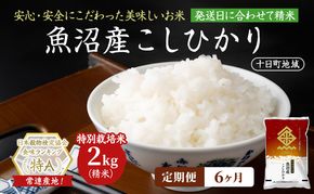 【6ヶ月定期便】特別栽培米 魚沼産こしひかり(十日町地域) 精米 2kg 米 お米 コシヒカリ 定期 十日町市