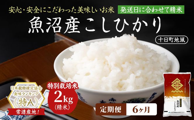 【6ヶ月定期便】特別栽培米 魚沼産こしひかり(十日町地域) 精米 2kg 米 お米 コシヒカリ 定期 十日町市