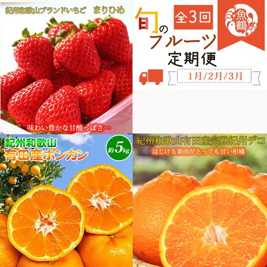 【定期便】【1・2・3月 全3回】紀州和歌山産旬 フルーツ定期便（いちご  約250g×4P 1月、ポンカン 5kg 2月、紀州デコ 約5kg 3月発送）