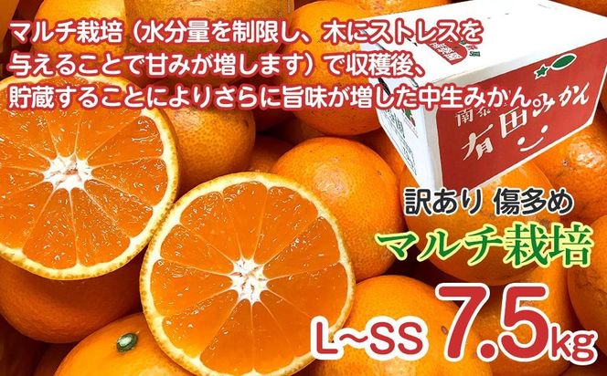 定期便 訳あり 傷多め 7.5kg × 3回 コース 有田みかん 食べくらべ 3種 全3回 南泰園 みかん BS825