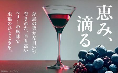 2023年産 糸島産ブルーベリー・ブラックベリーワイン 720ml×2種セット 糸島市 / HYM FARM ワイン ブルーベリー [AHM002] ワイン ブルーベリー ブラックベリー 720ml セット 果実酒 フルーツ