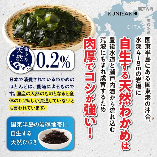 国東わかめ(糸造り,カット),芽ひじきの詰合せ_1095R