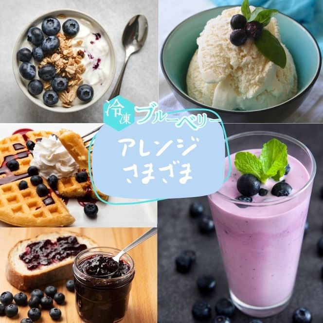 ブルーベリー【冷凍ブルーベリー（Mサイズ）１kg　贈答品】冷凍 完熟 果物 トッピング ヨーグルト 信州 長野