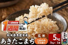 令和7年産 あきたこまち 玄米 5kg（5kg×1袋） 吉運商店 秋田県 男鹿市 お米 お弁当 おにぎり|23_ysu-220501a