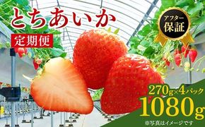 【先行予約】【定期便】いちご市 鹿沼の美味しい「い」「ち」「ご」とちあいか 1箱4パック入り（1パック270g×4） 2ヶ月連続発送 全2回 お届け ｜ イチゴ 果物 甘い ビタミンC かぬま ※沖縄・離島への配送不可 ※2026年1月上旬～2月下旬頃に順次発送予定