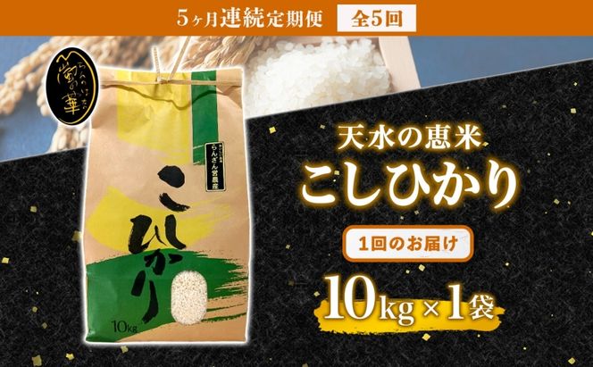 定期便 全5回 天水の恵米 コシヒカリ 白米 10kg 5回 お米 粘り もっちり 国産 白米 ご飯 もちもち 柔らかい お弁当 おにぎり らんざん営農 ギフト 贈り物 嵐山町 埼玉県