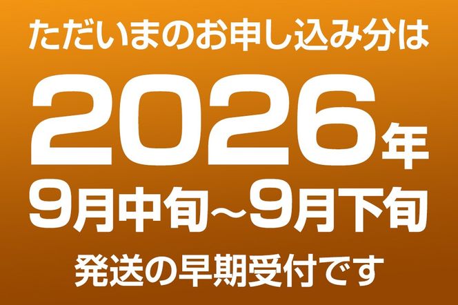 《先行受付》男鹿の梨 豊水 約3kg 6玉 梨 秋田県 男鹿市 ＜めぐみ農園＞ 2026年9月中旬より発送|23_mgm-010301
