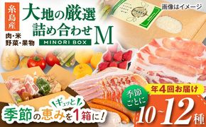 【全4回定期便 令和7年産新米】糸島産 肉 米 野菜 果物 厳選詰め合わせ MINORI BOX Mサイズ【季節ごとに年4回お届け】 糸島市 / emma.Inc / 米 肉 野菜 果物 詰め合わせ[AOP002] 米 こめ 肉 にく 野菜 やさい 果物 くだもの 糸島 詰め合わせ MINORI