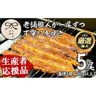 【0653721a-om】【生産者応援品】鹿児島県産東串良町のうなぎ蒲焼(5尾・計700g以上・秘伝のタレ付き)＆きざみ鰻セット 蒲焼セット 蒲焼長焼 ウナギ 鰻 蒲焼き 国産うなぎ 国産 九州産 鹿児島 鹿児島県産 高級 たれ さんしょう 【うなぎ太郎】