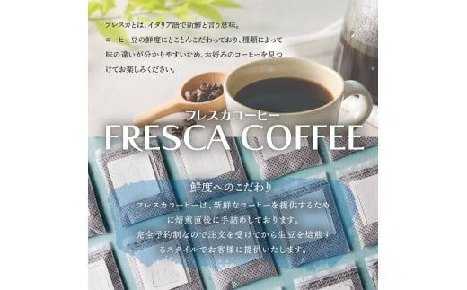 フレスカ特注 こだわりアイスコーヒーセット （ピラミッド型・ドリップバッグ） 水出し アイスコーヒー ドリップ 自家焙煎 焙煎珈琲 コーヒー こだわり 山梨 富士吉田