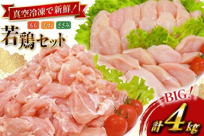 y{茧sz{ Ɩp {茧Y { ؐg 300g 6p ނːؐg 300g 4p ؂Ȃ  250g 4p v4kg Zbg [TRINITY {茧 s 452061336] {  { {ނ˓ ނ˓ TT~ Ⓚ ^pbN lߍ킹