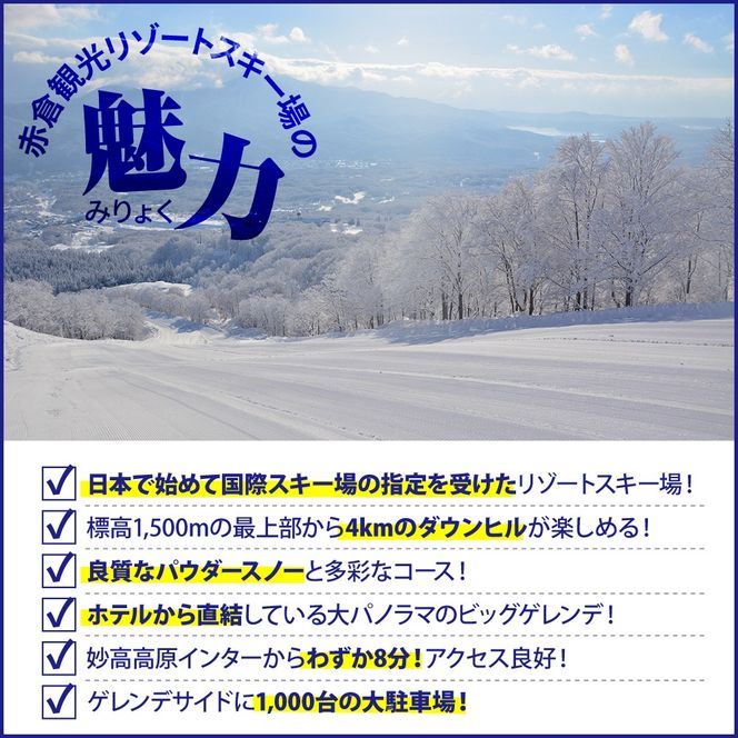 赤倉観光リゾート(2025-2026シーズン)スキー場リフト＆ゴンドラ1日引換券