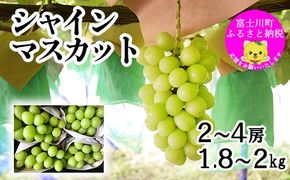 【2025年発送分 先行予約】 山梨おいしい果物園のシャインマスカット 1.8kg-2.0kg (2~4房)　産地直送 フルーツ シャイン マスカット ブドウ ぶどう 山梨 やまなし 富士川町