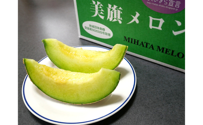 希少品　特選　美旗メロン　2L（青）2玉