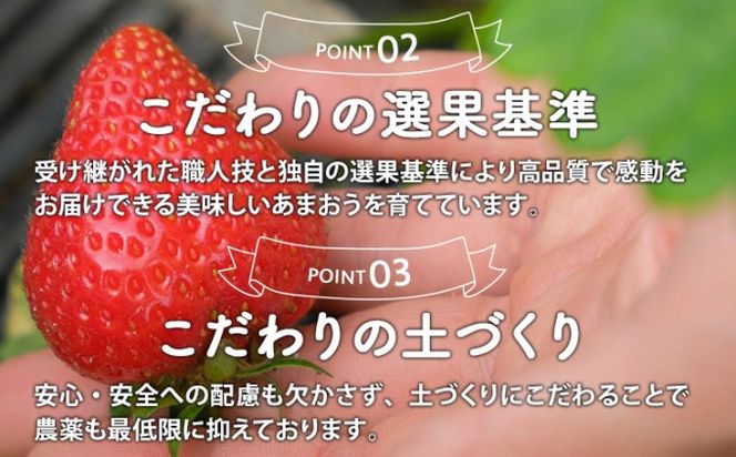 いちご 2027年2月下旬より発送 特選あまおう 400g※配送不可：離島 